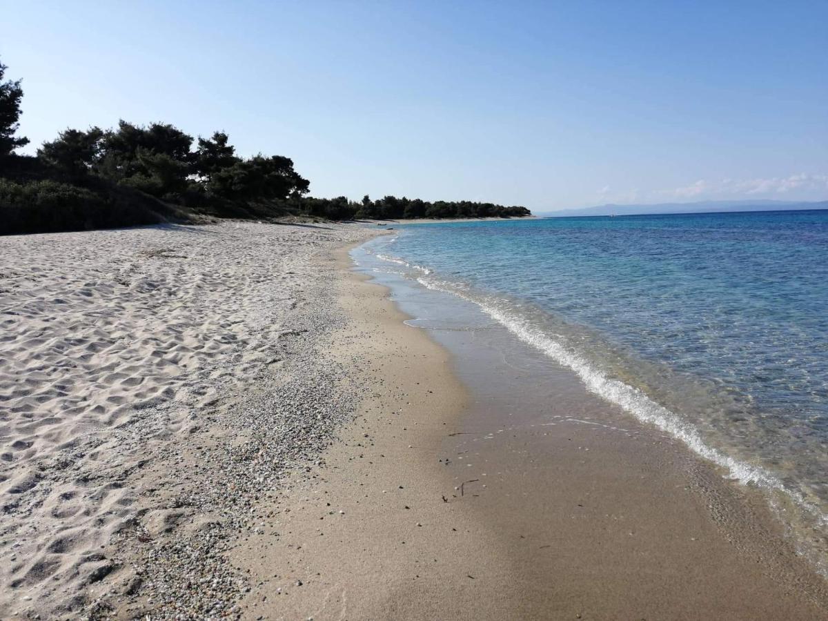 Seagull Villa Chalkidiki Pefkochori Eksteriør bilde